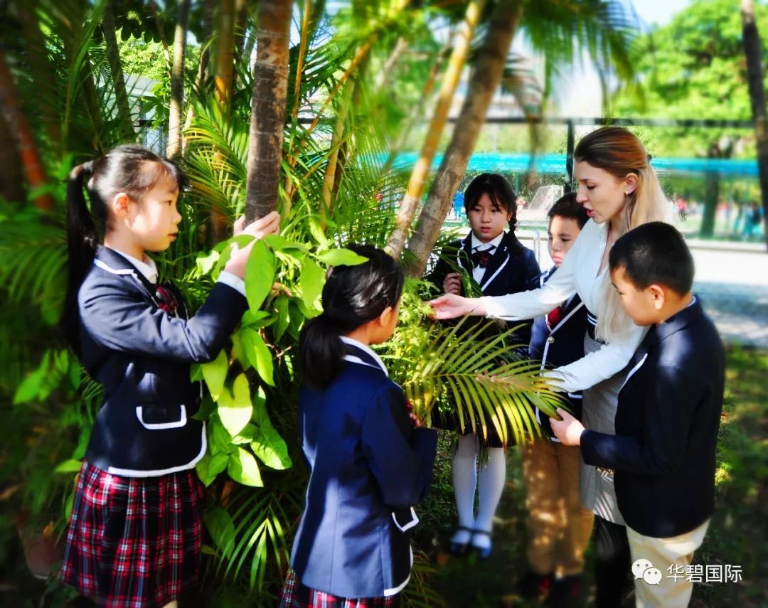 https://mmbiz.qpic.cn/mmbiz_jpg/XfQxUt1oAIvyUNjiaWeaZMTDCCh6b89PicCj9iccU8qkMQHicpBIPpBXVMwOHLHuNEHjlQibvibKRGId2AtloiccCV4BQ/640?wx_fmt=jpeg&wxfrom=5&wx_lazy=1 https://mmbiz.qpic.cn/mmbiz_jpg/XfQxUt1oAIvyUNjiaWeaZMTDCCh6b89PicCj9iccU8qkMQHicpBIPpBXVMwOHLHuNEHjlQibvibKRGId2AtloiccCV4BQ/640?wx_fmt=jpeg&wxfrom=5&wx_lazy=1